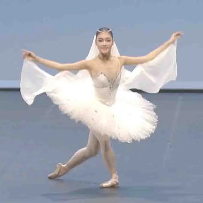 Pancake Ballet Tutu Costume with Decorated Bodice and Multiple Style Options