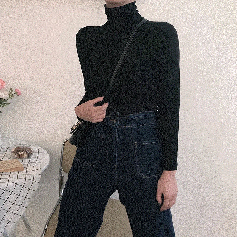 Women's Turtleneck Fitted Long Sleeve Sweater Casual Knit Layer