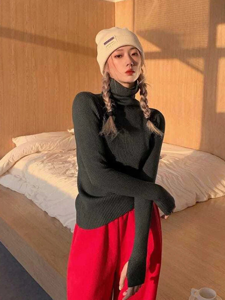 Women's Ribbed Roll Neck Long Sleeve Sweater Casual Knit Layer