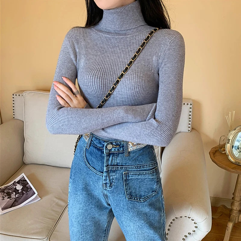Women's Fitted Ribbed Roll Neck Sweater Casual Knit Layer