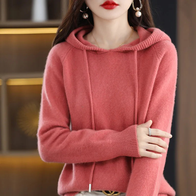 Hooded Long Sleeve Fine Knit Casual Pullover Sweater