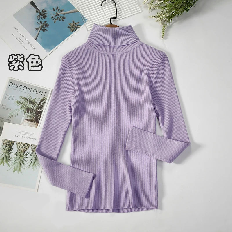 Women's Ribbed Roll Neck Long Sleeve Sweater Casual Knit Layer
