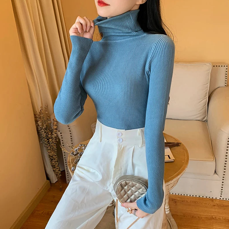 Women's Fitted Ribbed Roll Neck Sweater Casual Knit Layer