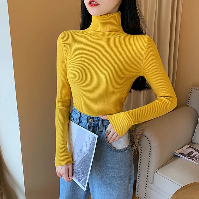 Women's Fitted Ribbed Roll Neck Sweater Casual Knit Layer