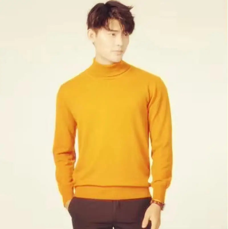 Men's Turtleneck Long Sleeve Knit Sweater