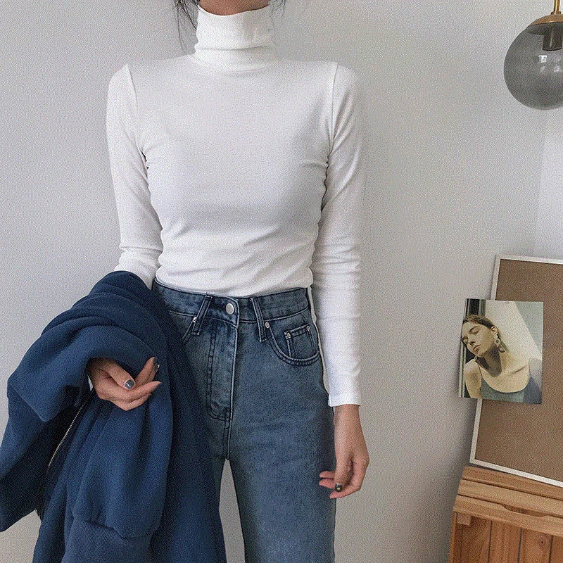 Women's Turtleneck Fitted Long Sleeve Sweater Casual Knit Layer