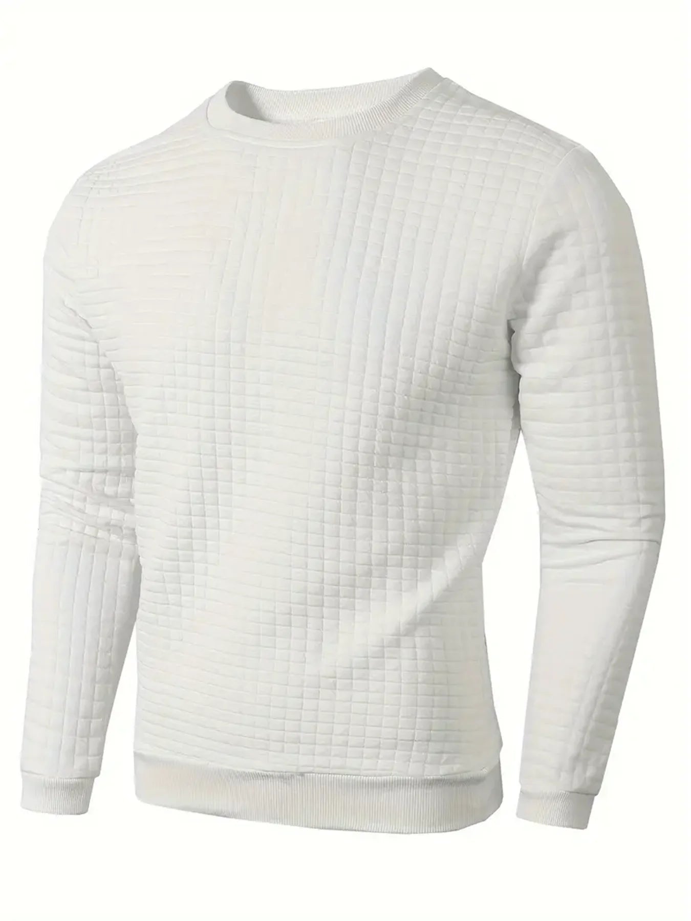 Men's Textured Crew Neck Long Sleeve Knit Sweater