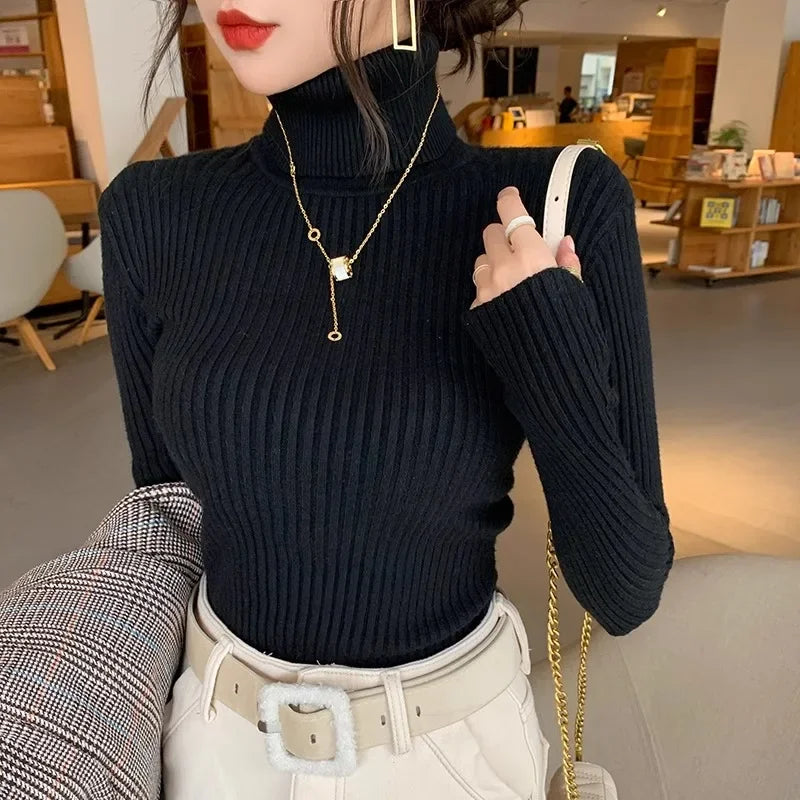 Women's Fitted Ribbed Roll Neck Sweater Casual Knit Layer