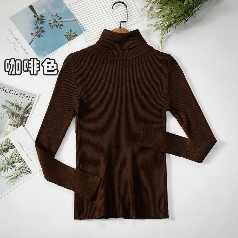 Women's Ribbed Roll Neck Long Sleeve Sweater Casual Knit Layer