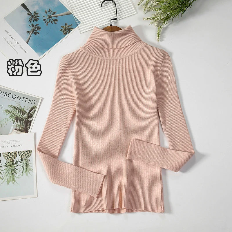 Women's Ribbed Roll Neck Long Sleeve Sweater Casual Knit Layer