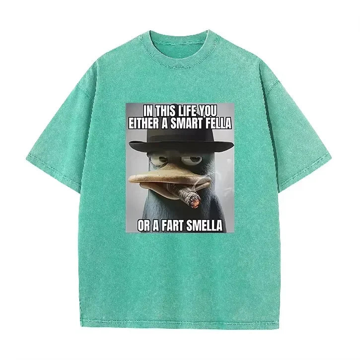 Retro Acid Wash Oversized T-shirt Funny Perry Platypus Meme Cartoon Print Casual Streetwear Tops