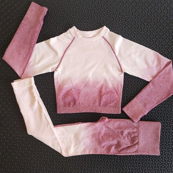 2 piece gym set women ombre seamless workout set yoga - Vimost Shop