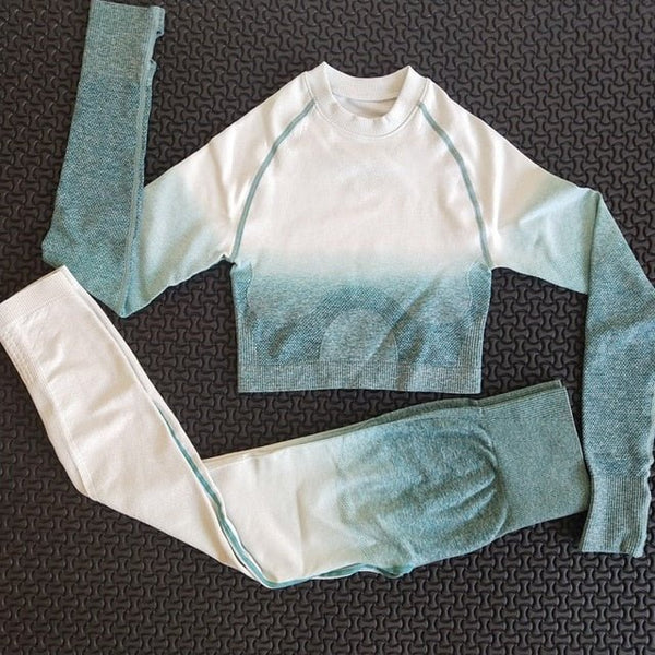 2 piece gym set women ombre seamless workout set yoga - Vimost Shop