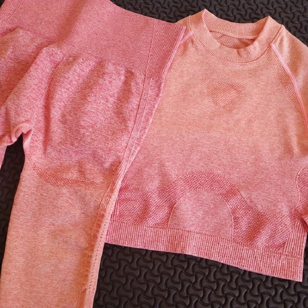 2 piece gym set women ombre seamless workout set yoga - Vimost Shop