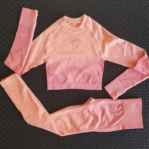 2 piece gym set women ombre seamless workout set yoga - Vimost Shop