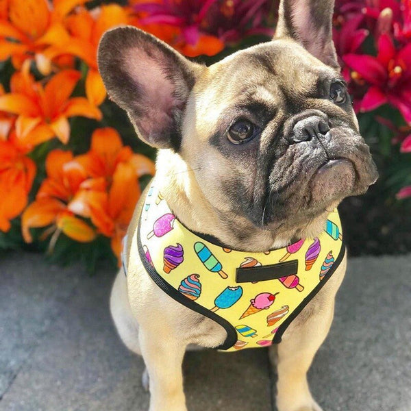 Breathable Small Dog Pet Harness Puppy Cat Vest Harness Collar For Chihuahua Pug Bulldog Cat arnes perro - Vimost Shop