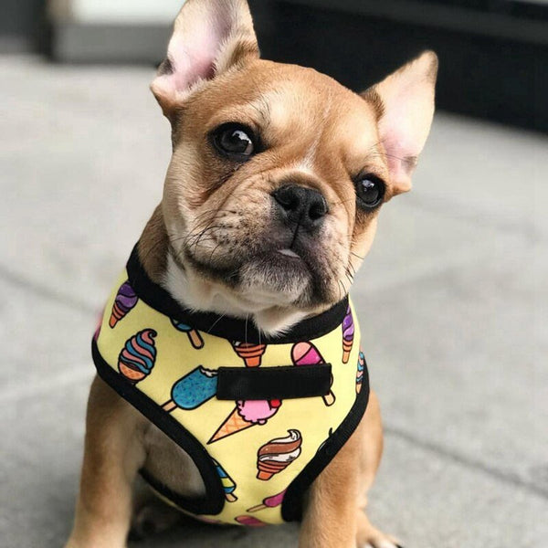 Breathable Small Dog Pet Harness Puppy Cat Vest Harness Collar For Chihuahua Pug Bulldog Cat arnes perro - Vimost Shop
