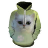 Cartoon kawaii hoodies 3D Printed Cat oversize Mens women's Sweatshirt Pullover Long Sleeve Hooded Sweatshirts Tops - Vimost Shop