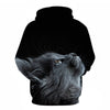 Cartoon kawaii hoodies 3D Printed Cat oversize Mens women's Sweatshirt Pullover Long Sleeve Hooded Sweatshirts Tops - Vimost Shop