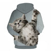 Cartoon kawaii hoodies 3D Printed Cat oversize Mens women's Sweatshirt Pullover Long Sleeve Hooded Sweatshirts Tops - Vimost Shop