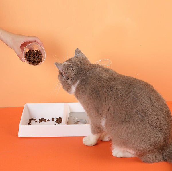 Cat Bowl Dog Water Feeder Bowl Cat Kitten Drinking Fountain Food Dish Pet Bowl Goods Automatic Water Feeder for Cat Dog - Vimost Shop