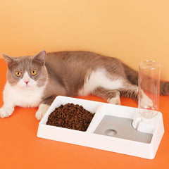 Cat Bowl Dog Water Feeder Bowl Cat Kitten Drinking Fountain Food Dish Pet Bowl Goods Automatic Water Feeder for Cat Dog
