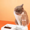 Cat Bowl Dog Water Feeder Bowl Cat Kitten Drinking Fountain Food Dish Pet Bowl Goods Automatic Water Feeder for Cat Dog - Vimost Shop