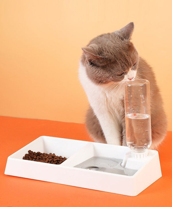 Cat Bowl Dog Water Feeder Bowl Cat Kitten Drinking Fountain Food Dish Pet Bowl Goods Automatic Water Feeder for Cat Dog - Vimost Shop