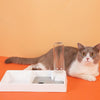 Cat Bowl Dog Water Feeder Bowl Cat Kitten Drinking Fountain Food Dish Pet Bowl Goods Automatic Water Feeder for Cat Dog - Vimost Shop