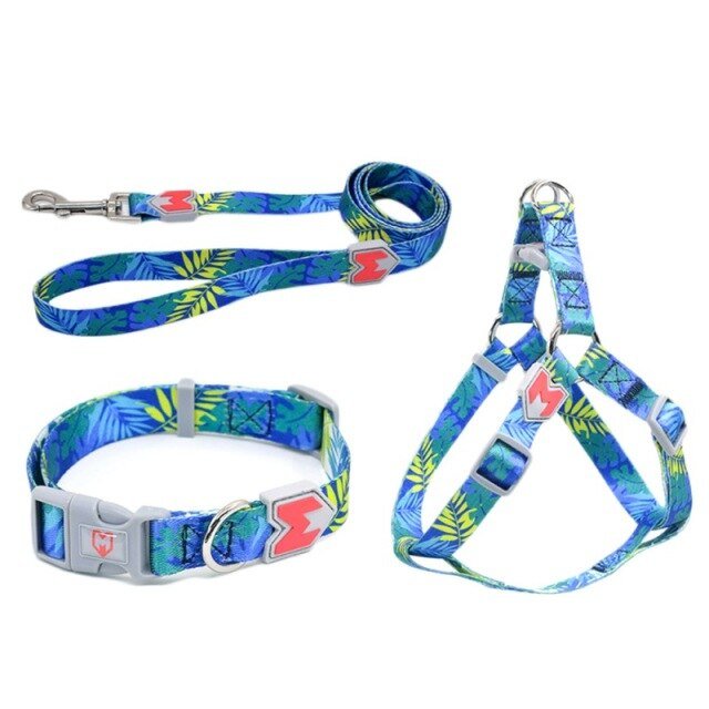 Cat Dog Collar Harness Leash Adjustable Nylon Pet Traction Cat Dog Collar Adjustable Quick Release Pet Harness Belt - Vimost Shop
