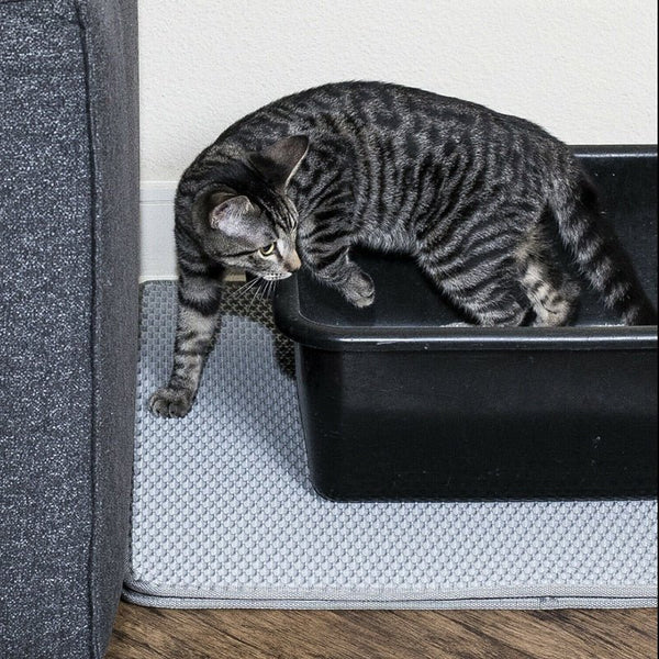 Cat Litter Mat Waterproof Double-Layer Pet EVA Foam Trapper Non-Toxic Pad Pet Cleaning Accessories - Vimost Shop