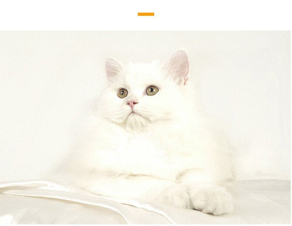 Cute Cat Bed House Warm Pet Kitten Mat Warm Basket for Cats Dogs Indoor Sleepping Bag Dog Kennel Nest Puppy Cushion Pet Supplies - Vimost Shop