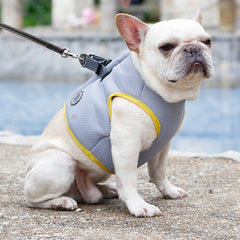 Dog Harness and Leash Set for Chihuahua Pug Small Medium Puppy Cat Harnesses Vest Cooling Walking Lead Harness