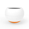 Dog Slow Feeder Bowl Wobbler Toy for Small Medium Dogs Cats Interactive Feeder Toy Tumbler Anti-Choking Pet Feeding Food Bowls - Vimost Shop