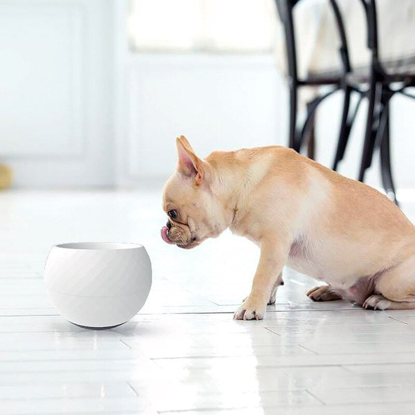 Dog Slow Feeder Bowl Wobbler Toy for Small Medium Dogs Cats Interactive Feeder Toy Tumbler Anti-Choking Pet Feeding Food Bowls - Vimost Shop