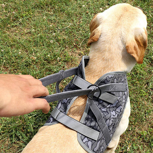 Dog Soft Adjustable Harness Pet Large Dog Walk Out Harness Vest for Medium Dog Chest Strap Dog Harness Pets Accessories - Vimost Shop