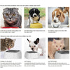 Dog Water Bowl Portable Large Capacity Splash Proof Vehicle Carried Water Feeder Floating Bowl Durable Drinking Dish For Dog Cat - Vimost Shop