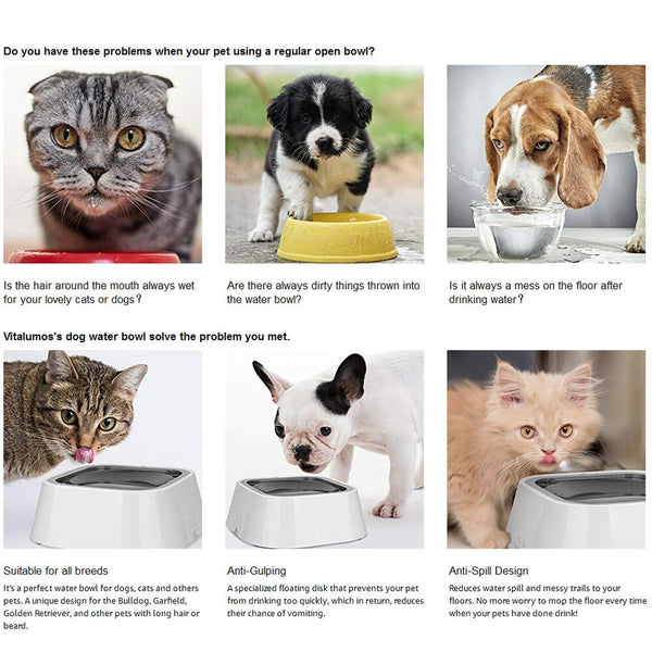 Dog Water Bowl Portable Large Capacity Splash Proof Vehicle Carried Water Feeder Floating Bowl Durable Drinking Dish For Dog Cat - Vimost Shop
