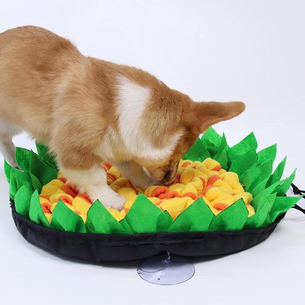 Dogs Snuffle Mat Pet Leak Food Anti Choking Mat Flower Nose Smell Training Sniffing Pad Slow Feeding Food Mat Nose Pad Pet Toy - Vimost Shop