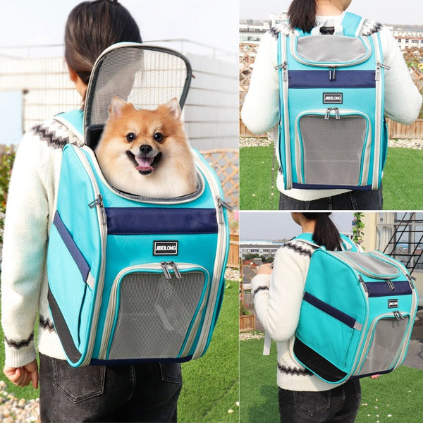 Double Shoulder Dog Cat Carrier Mesh Breathable Puppy Kitten Backpack Outdoor Travel Bag for Small Dogs Portable Cats Bag - Vimost Shop