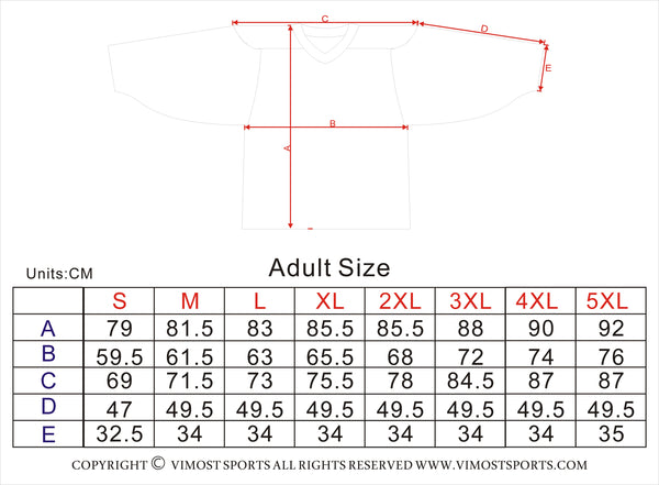 Sublimated Northern Vikings Team Design Hockey Jersey | Vimost Shop.