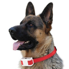 Waterproof Safe & Automatic Anti Bark Device USB Powered Spray & Sound Bark Collar