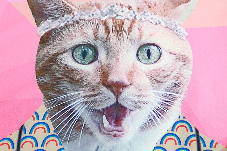 Autumn Winter Harajuku Cat Style Sweatshirt | Vimost Shop.