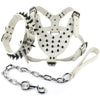 Leather Dog Harness Collar and Chain Leash Set Spiked Vest For Boxer Black Spikes for Medium Large Dogs Pitbull Matiffer