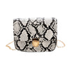 Women Snake Pattern Fashion Shoulder Messenger Bag Casual Chain Small Square Bag Female Luxury Wild Bag Bolso femenino | Vimost Shop.