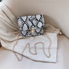 Women Snake Pattern Fashion Shoulder Messenger Bag Casual Chain Small Square Bag Female Luxury Wild Bag Bolso femenino | Vimost Shop.