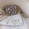 Women Snake Pattern Fashion Shoulder Messenger Bag Casual Chain Small Square Bag Female Luxury Wild Bag Bolso femenino | Vimost Shop.
