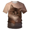 Women Casual Funny Cartoon Print Tshirt Harajuku Kawaii Fashion T-shirt Summer Short Sleeve Top Tees Female | Vimost Shop.