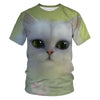 Women Casual Funny Cartoon Print Tshirt Harajuku Kawaii Fashion T-shirt Summer Short Sleeve Top Tees Female | Vimost Shop.