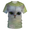 Women Casual Funny Cartoon Print Tshirt Harajuku Kawaii Fashion T-shirt Summer Short Sleeve Top Tees Female | Vimost Shop.